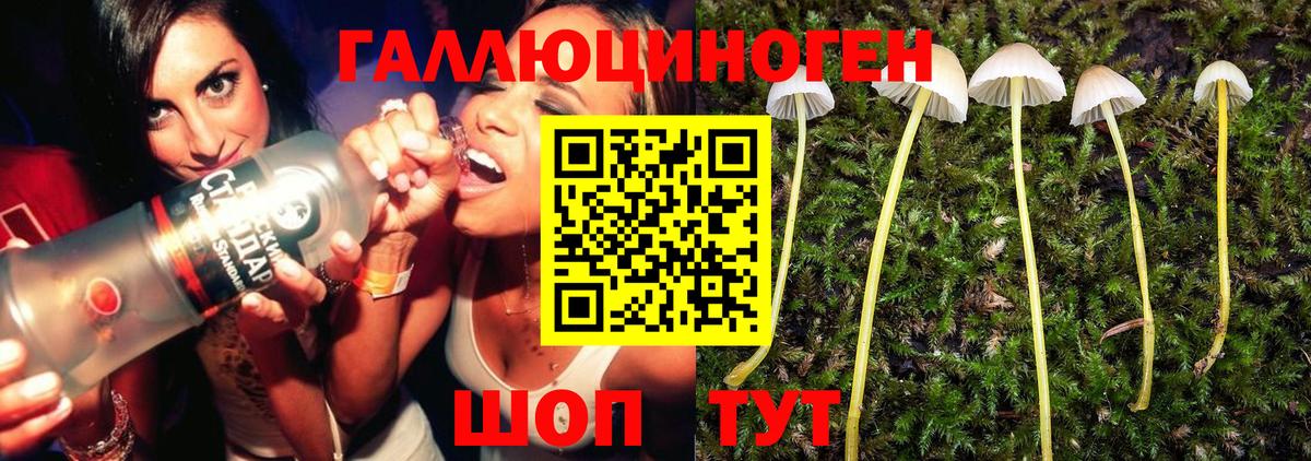 Галлюциногенные грибы GOLDEN TEACHER  Вход с VPN  Кирово-Чепецк 