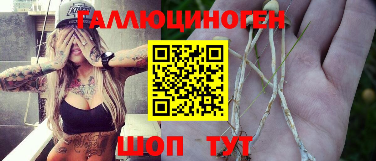 Псилоцибиновые грибы MAGIC MUSHROOMS Кирово-Чепецк